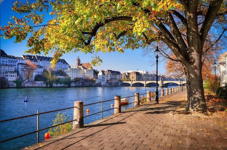 Апартаменти Schweiz Базель Екстер'єр фото