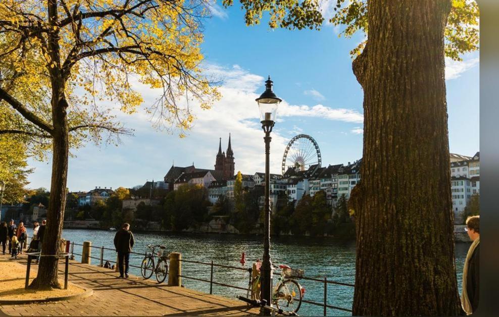 Апартаменти Schweiz Базель Екстер'єр фото